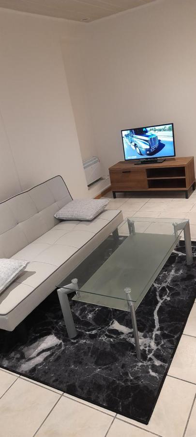 Tres Belle Appartement F1 Bis 페르피냥 외부 사진